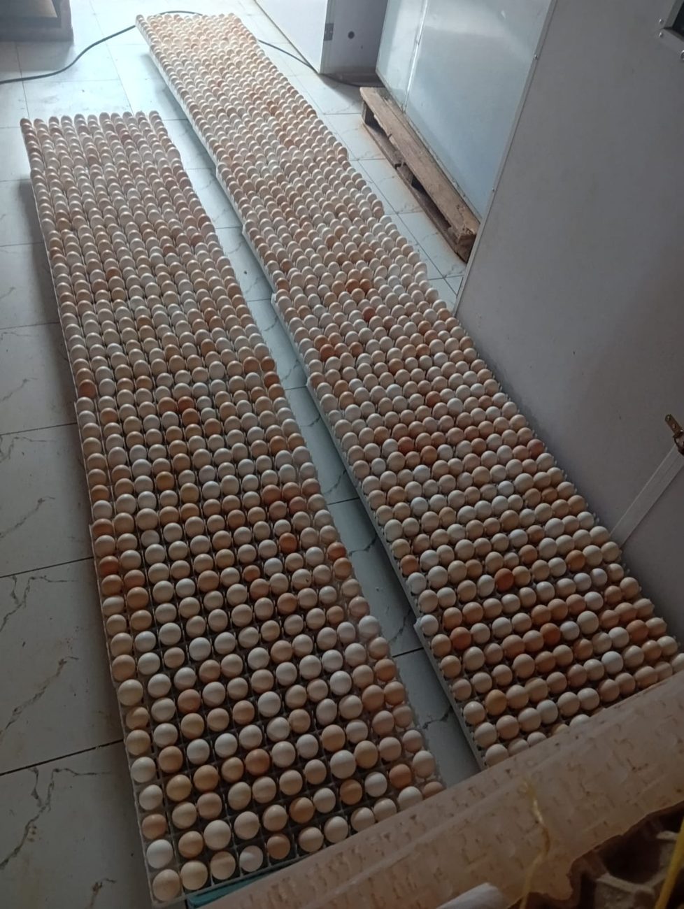 Kienyeji eggs