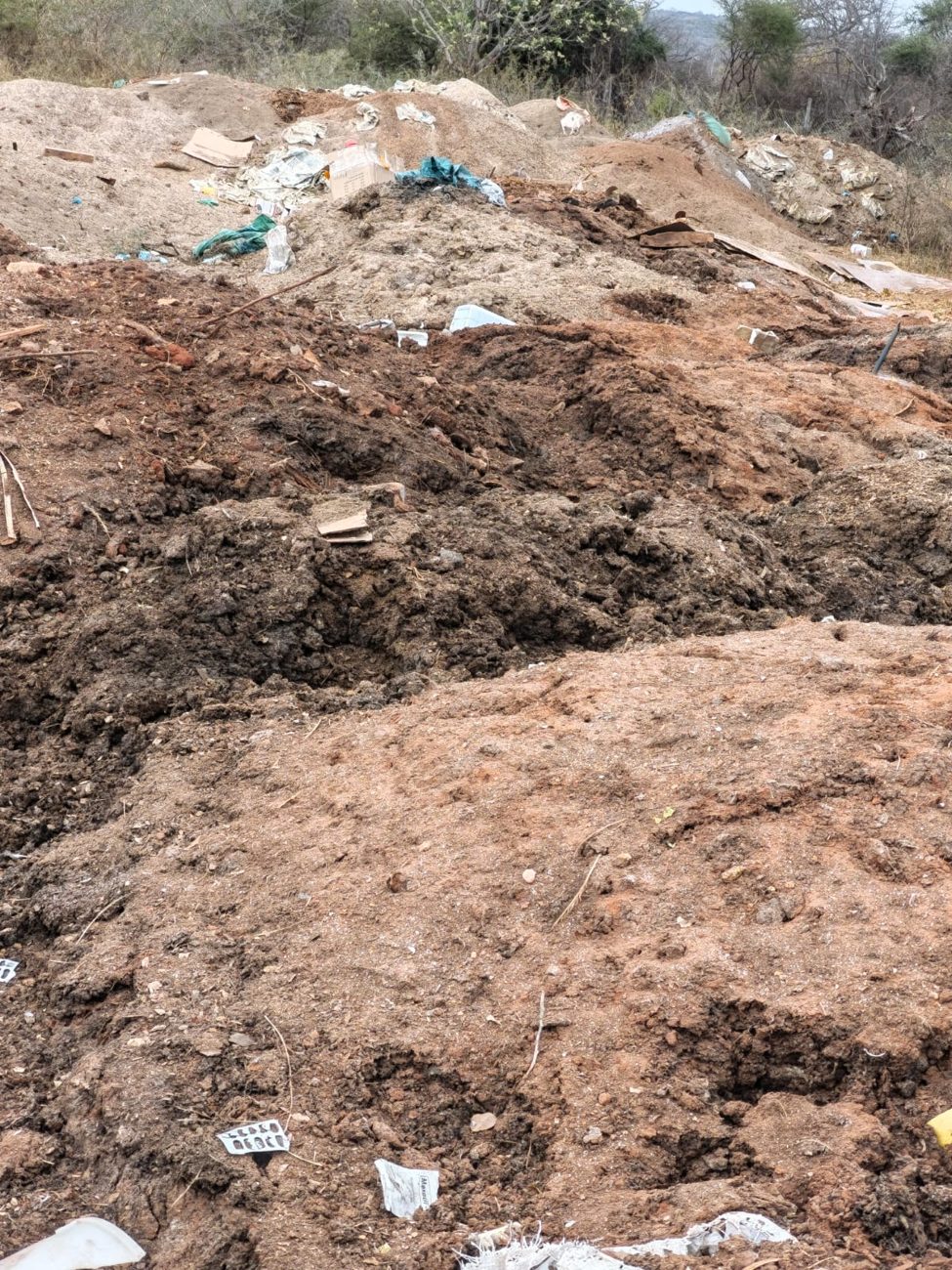 Chicken Manure